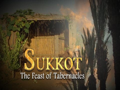 f251fd117554771da5de02318225f390--feast-of-tabernacles-roots
