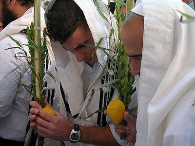 lulav-etrog-lulav-etrog-5_grande