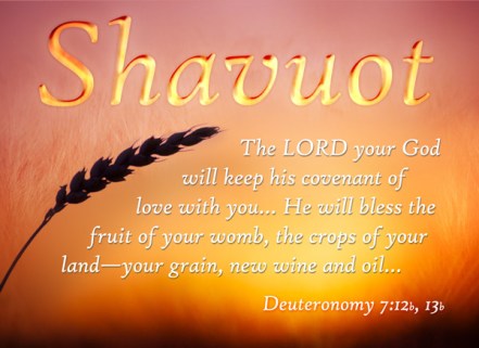 shavuot-header