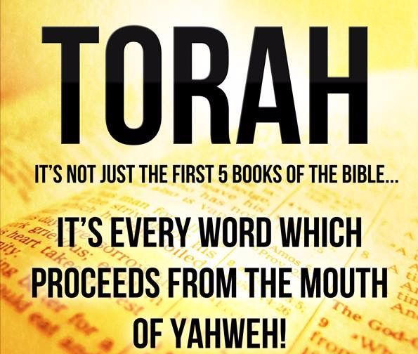 torah-image.jpg