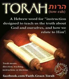 torah image