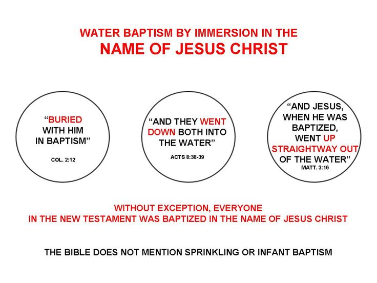 51842912e52ecdd3d8a20d1107bec491