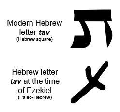 hebrewtav