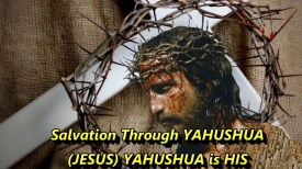 maxresdefault (2).jpg