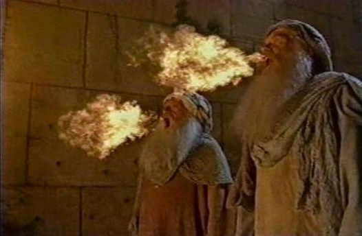 Two Witnesses Revelation