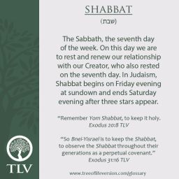 20bc2ba8a7f2c434d0666818f73b049c--hebrew-words-torah