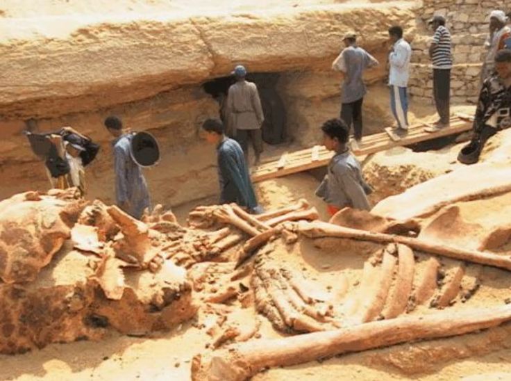 7ebf90d16e34c6d8c9f873e604628aad--ancient-aliens-ancient-egypt