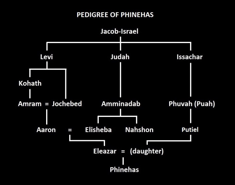 Phinehas Pedigree 4.jpg
