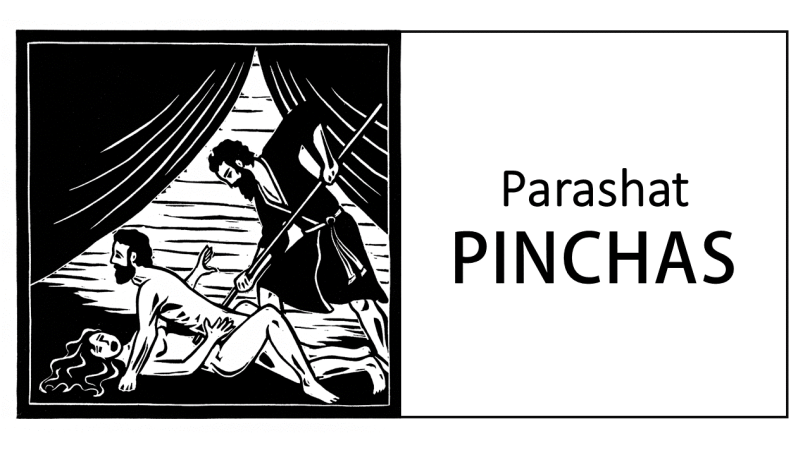 PINCHAS.png