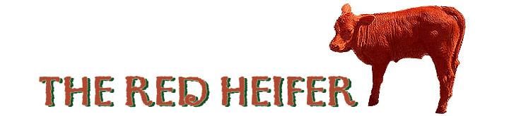 red_heifer_banner