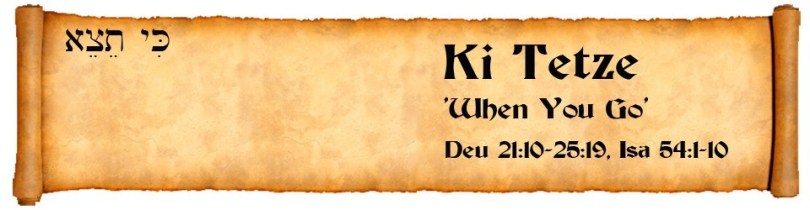 1504356944789383851406