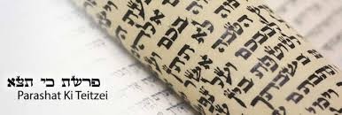 1504356986944299042568