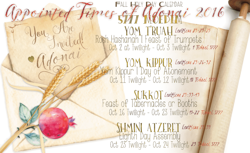 Image result for ki teitzei shabbat