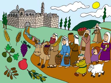 pdilimlerikitavo5764_01