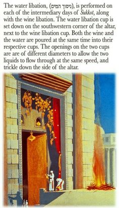 c9fa848e15a64ec6f626068070f7bf6b